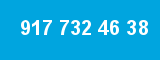 917 732 46 38 917 732 46 38